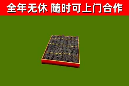 怀宁回收海参